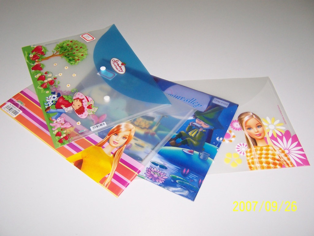 CPM-P210