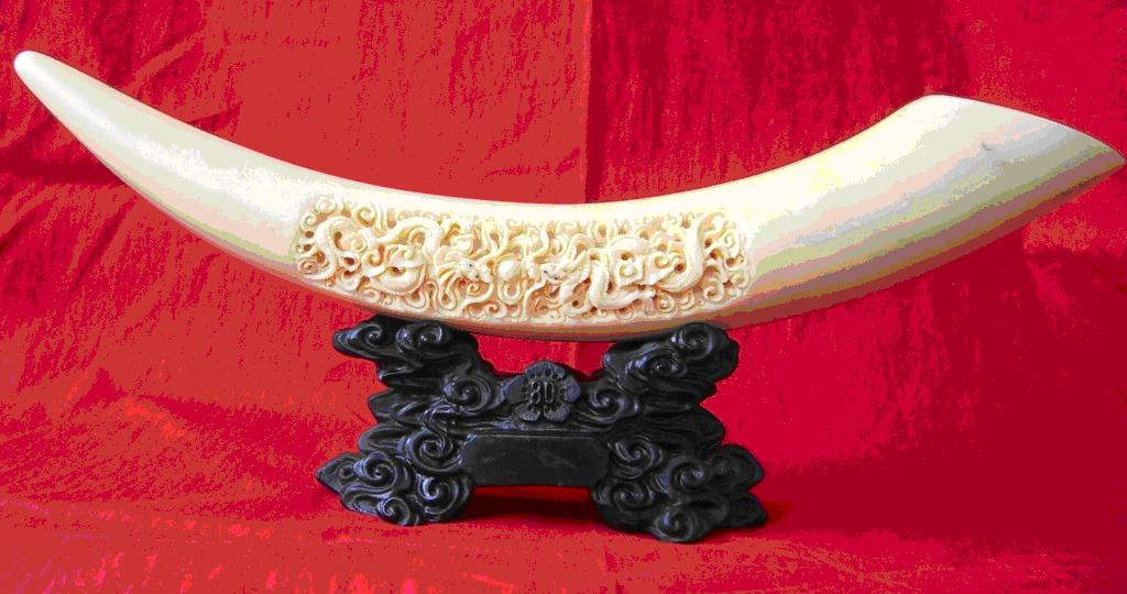 Ivory Tusk-Half Full Sculptures